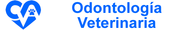 Veterinario Odontologo Madrid